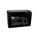 HI STARX 12V 100AH