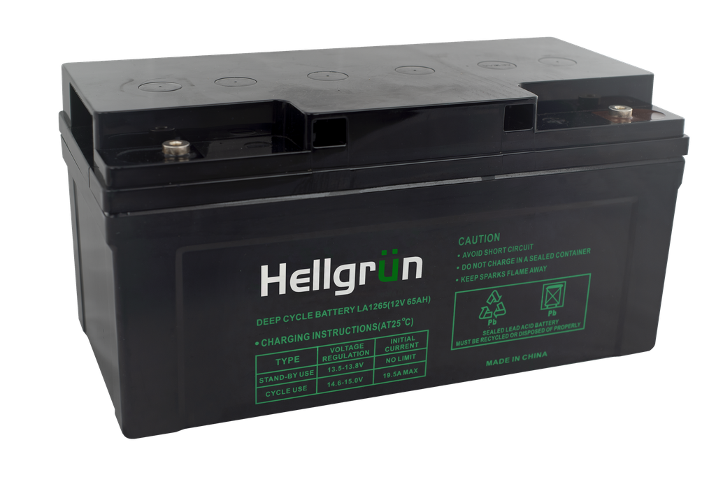 Hellgrün12v 65Ah