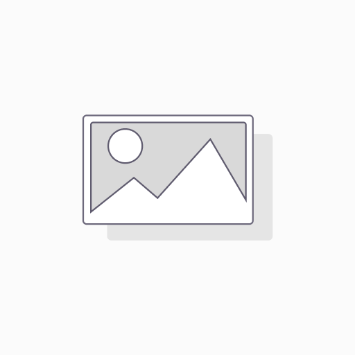 CAMARA WEB 1080 DYN