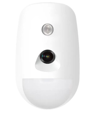 Wireless PIR-Camera Detector